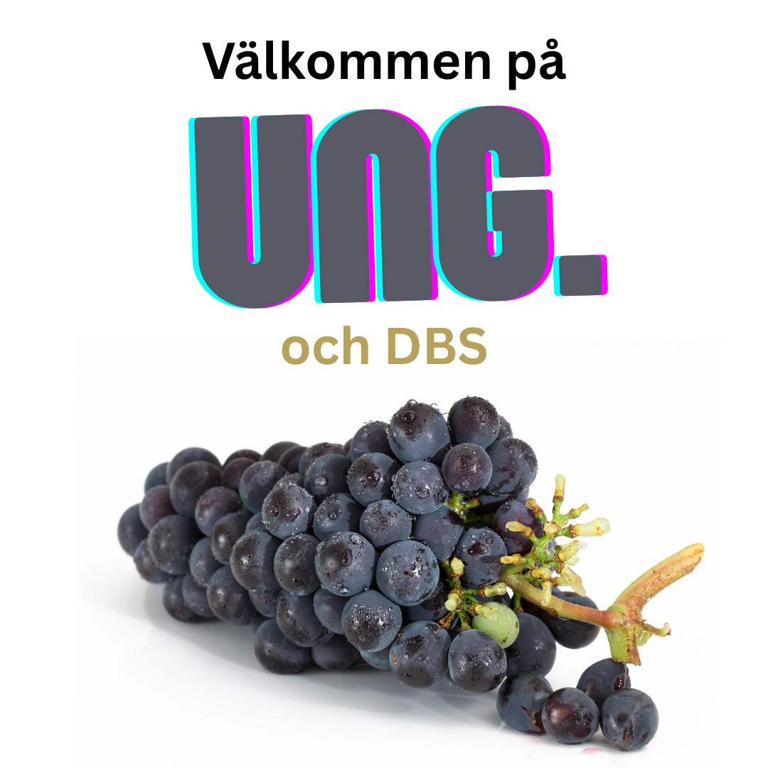 Ungdomsträffar i Betania